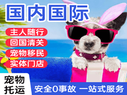 集宁航空运输国际宠物托运 【国